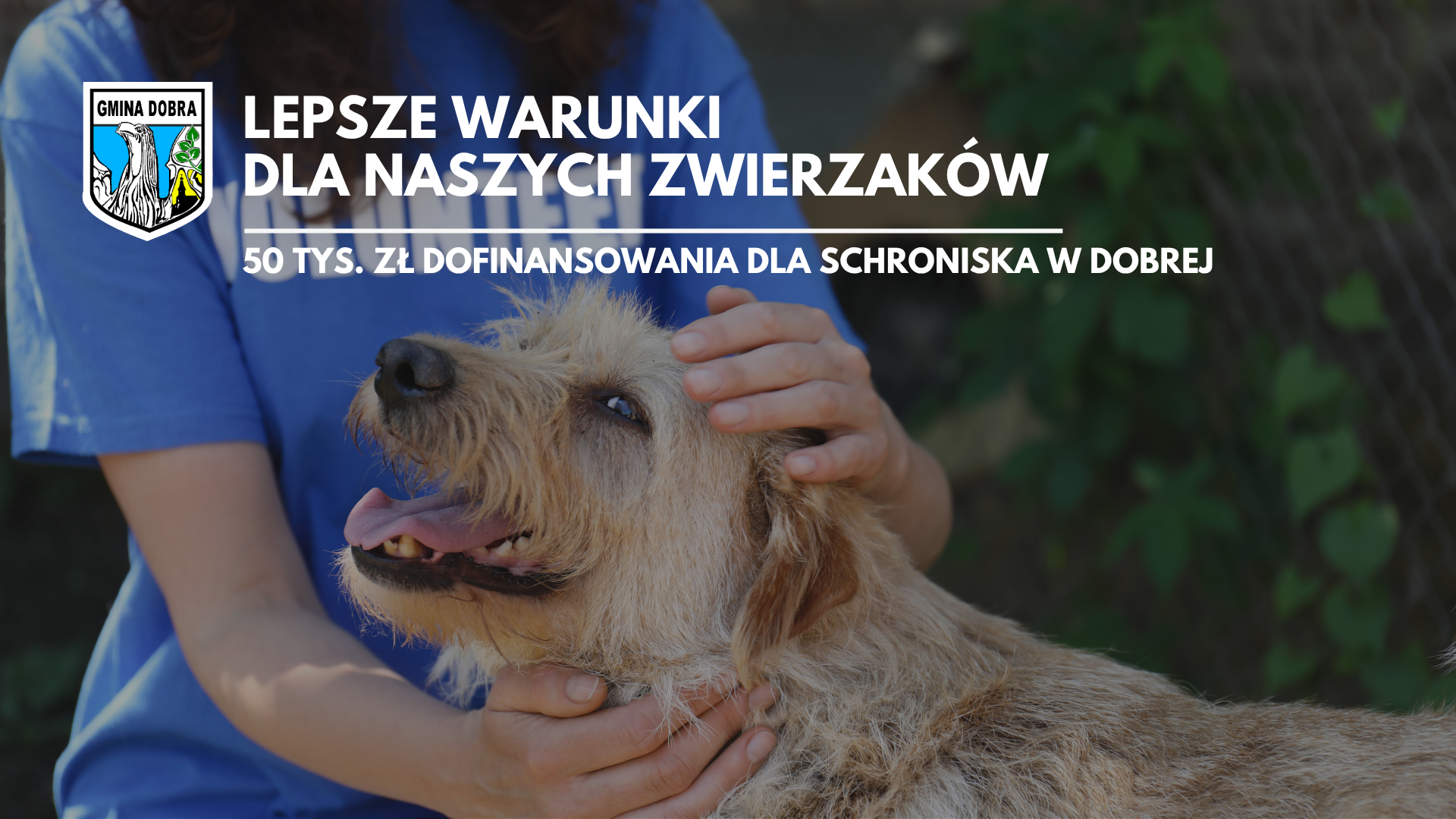 Dofinansowanie w wysokości 50 tyś. zł  dla Schroniska dla Bezdomnych Zwierząt w Dobrej