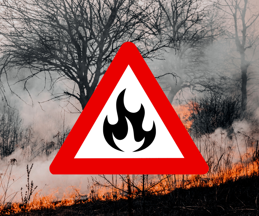 Krytycznego zagrożenia pożarowego w lasach na terenie Gminy Dobra