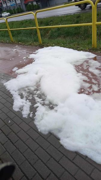 Ustalenie sprawcy zanieczyszczenia drogi