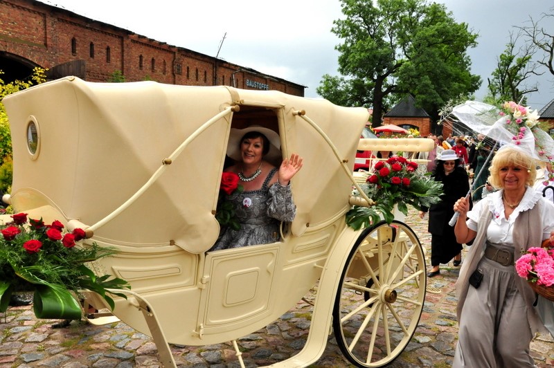 II Festiwal Róż - relacja 