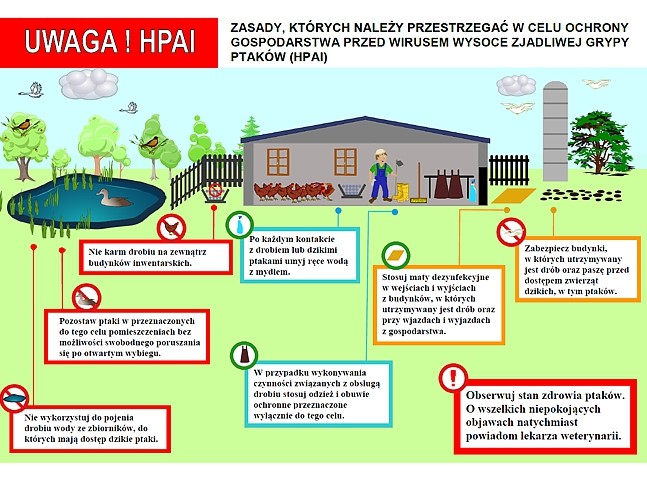 Apel do hodowców drobiu