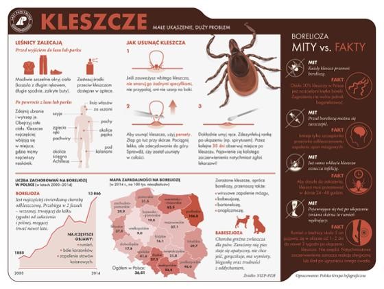 KLESZCZE - małe ukłucie, duży problem