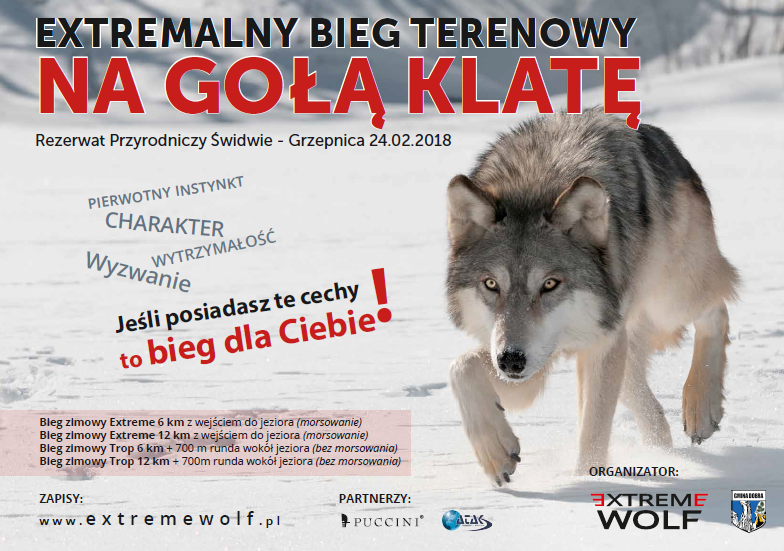 Extremalny bieg terenowy "ExtremE WOLF"