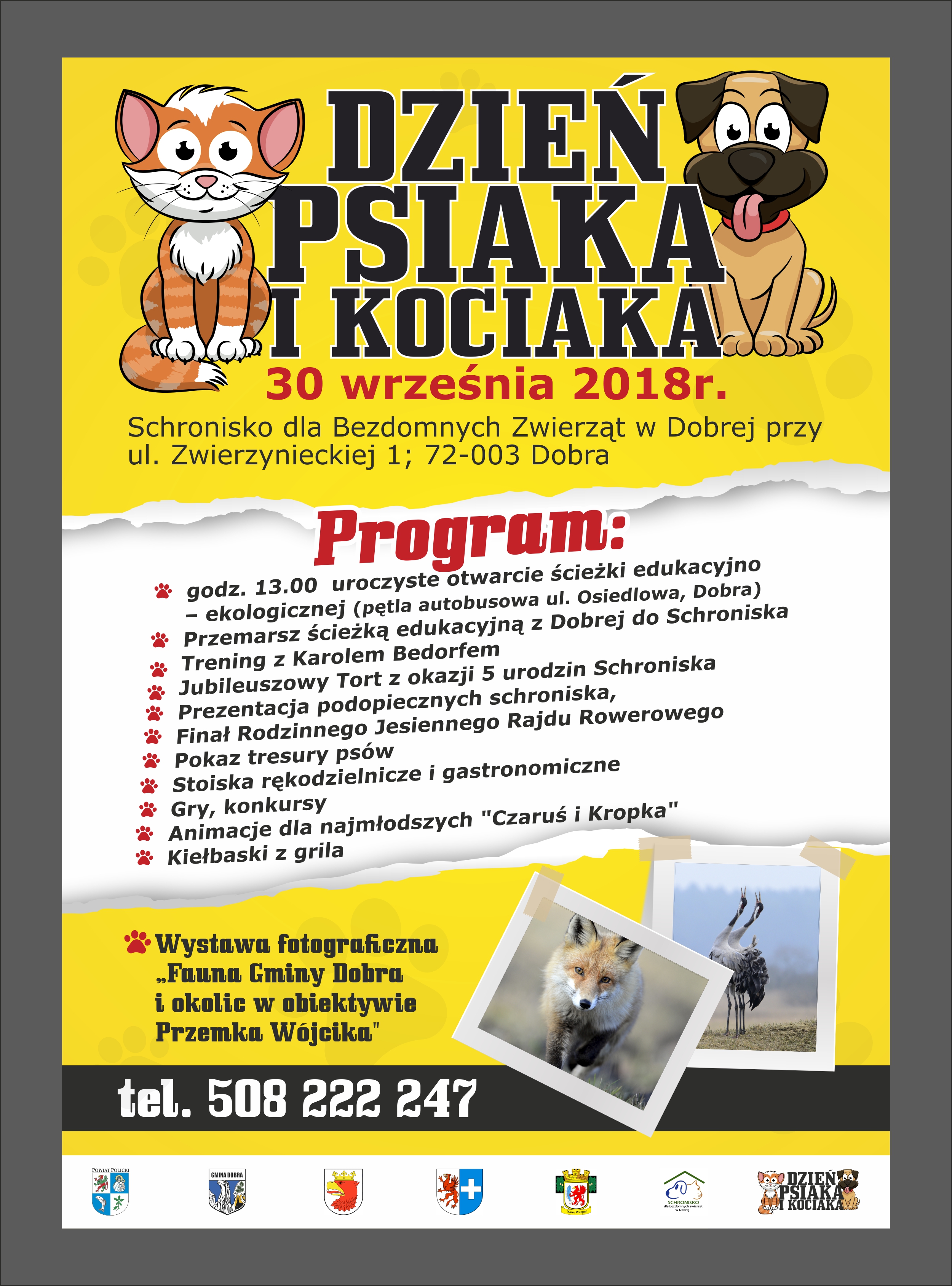 Piąty jubileuszowy Dzień Psiaka i Kociaka