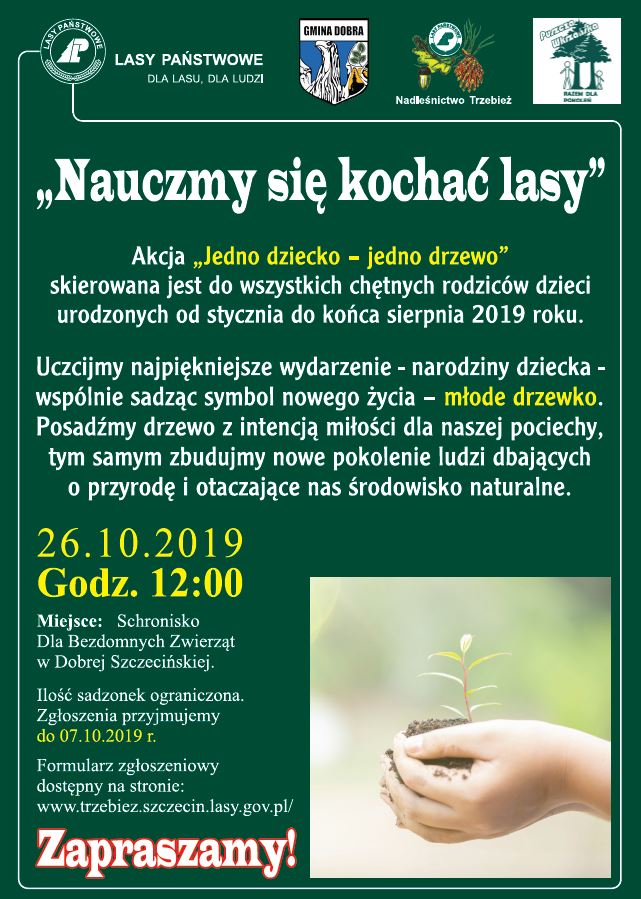 Jedno dziecko - jedno drzewo
