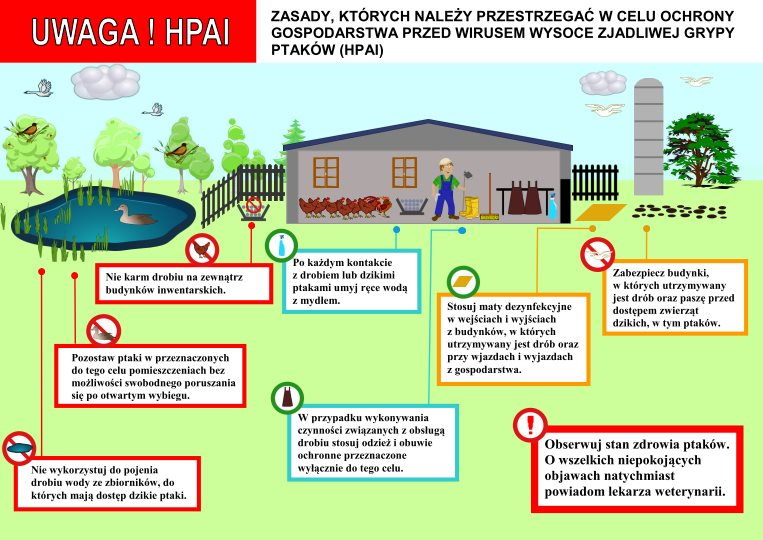 Wysokie ryzyko wystąpienia zjadliwej grypy ptasiej (HPAI)