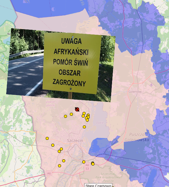 Obszar zagrożenia ASF